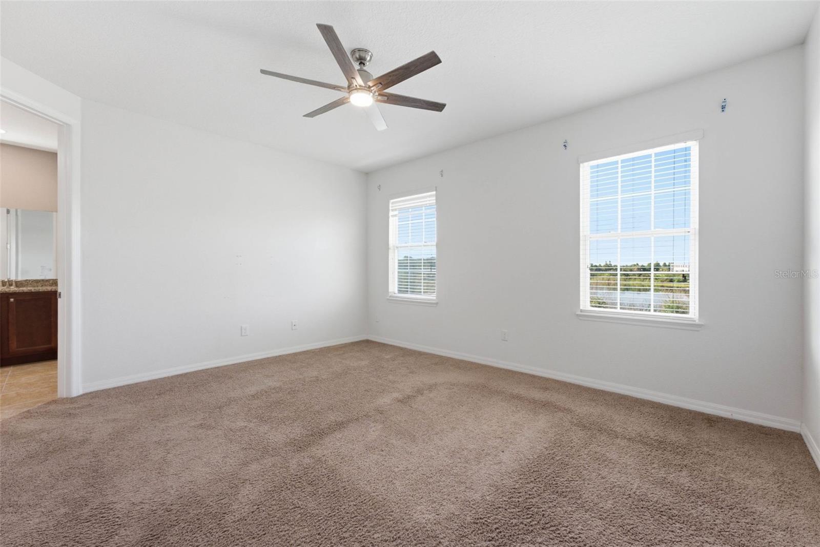 13786 Summer Harbor Ct Property Photo 47