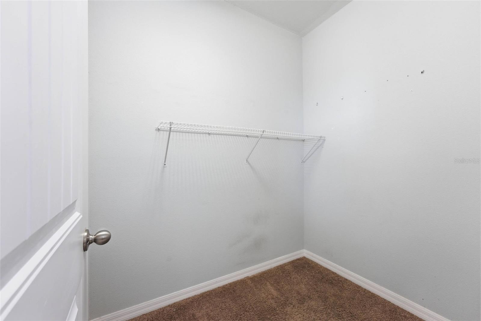 13786 Summer Harbor Ct Property Photo 52