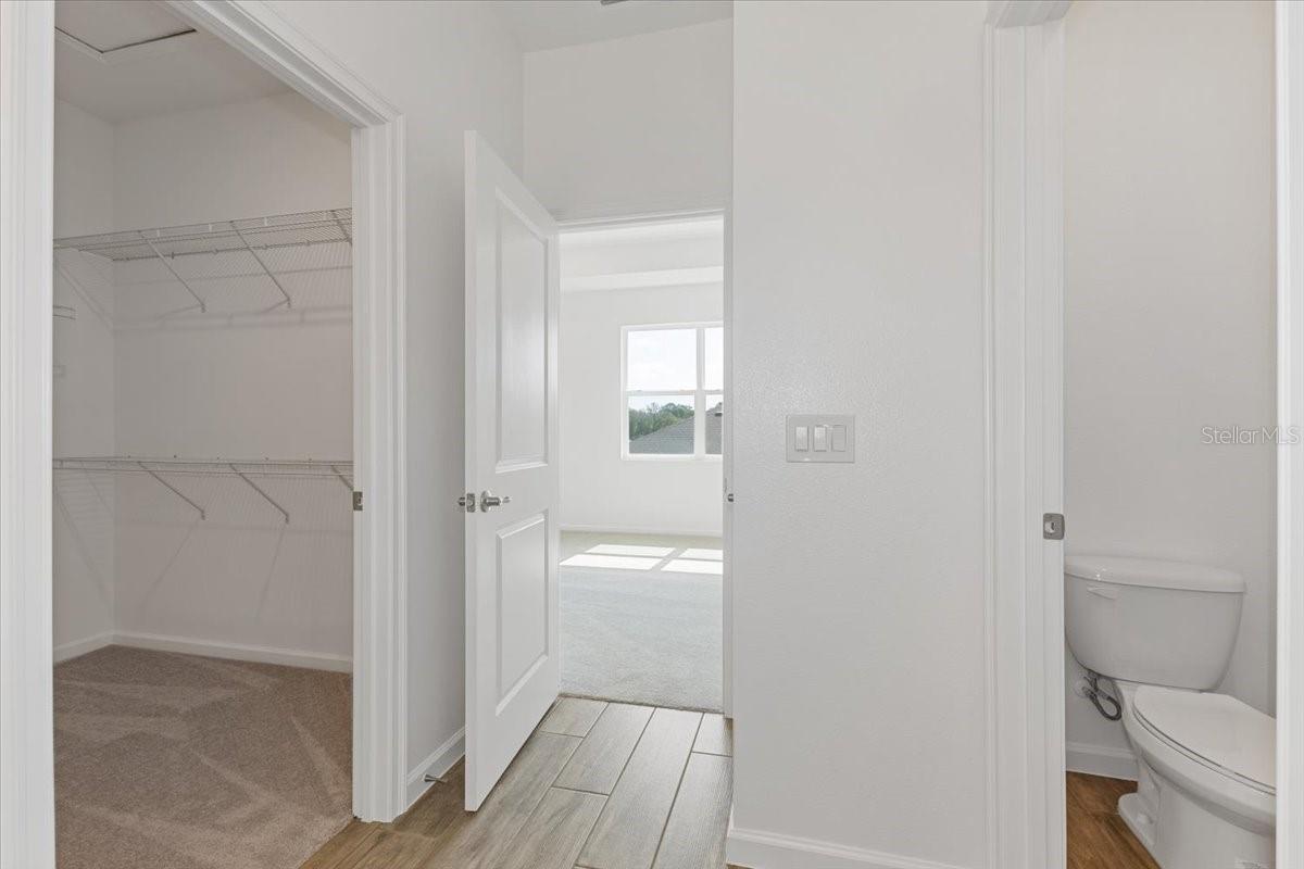 2209 Sirena Ln Property Photo 10