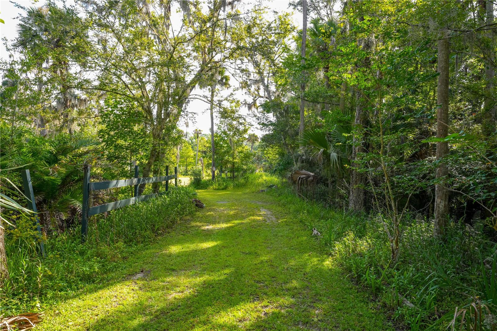 1879 Hideaway Ln Property Photo 11