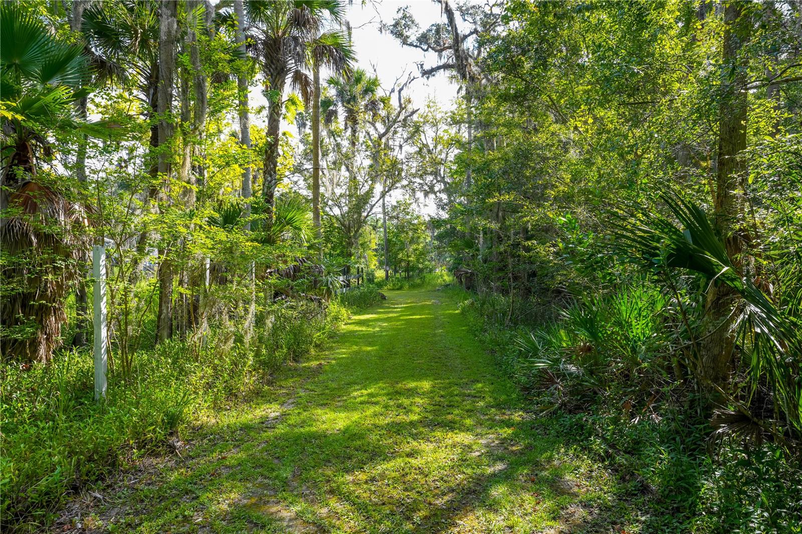 1879 Hideaway Ln Property Photo 12