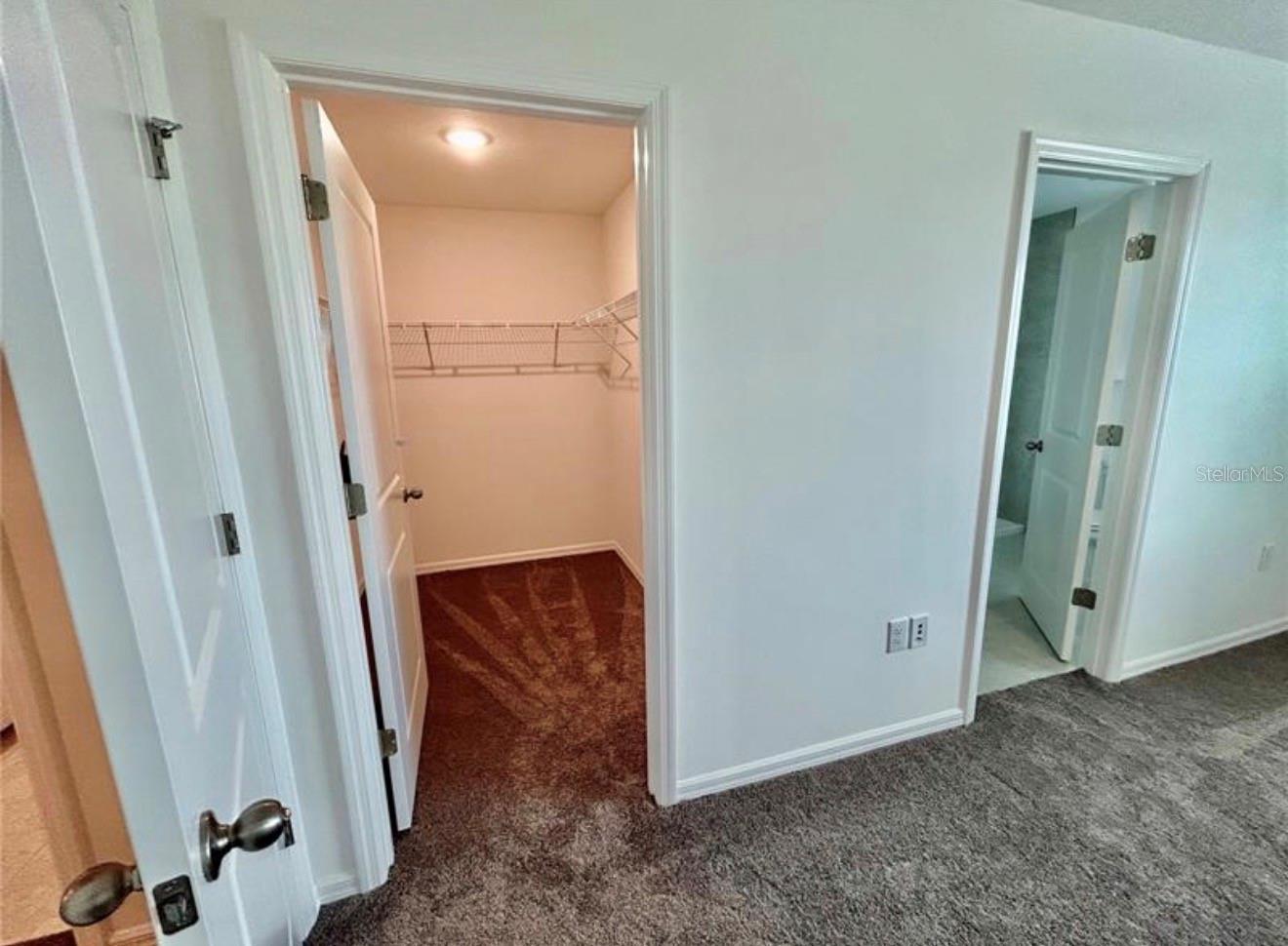 10771 Ironwood Tree Way Property Photo 14