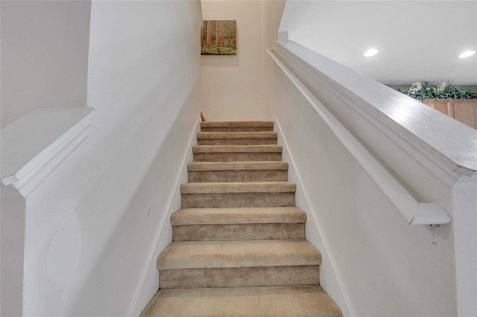 2619 Andros Ln Property Photo 18