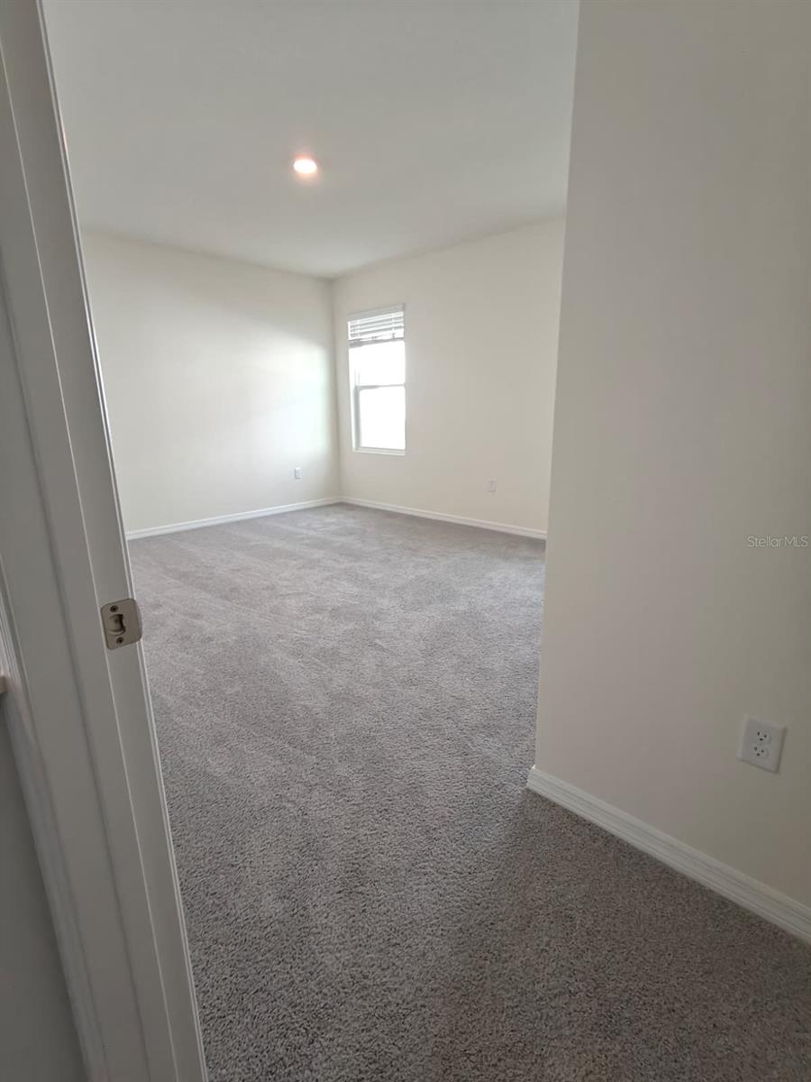 5266 Scrub Mint Ln Property Photo 13