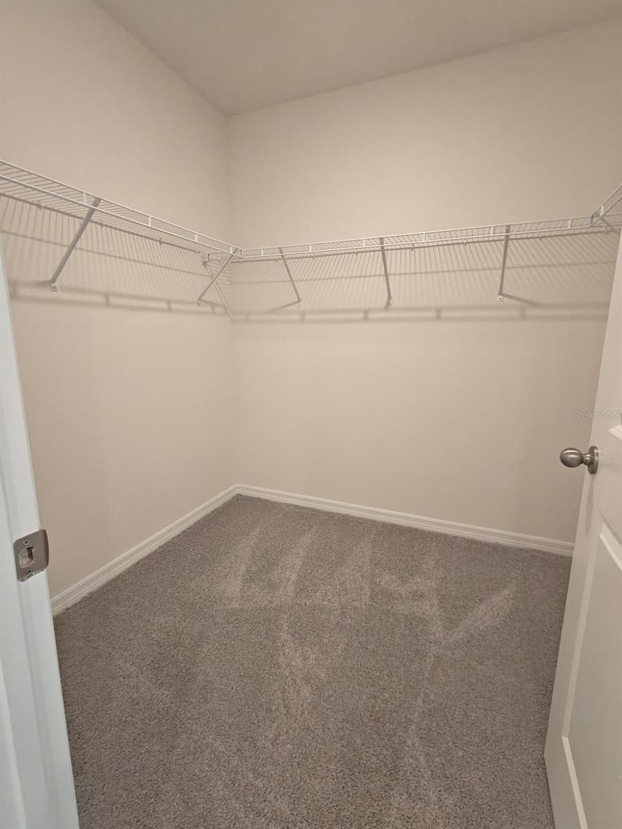 5266 Scrub Mint Ln Property Photo 17