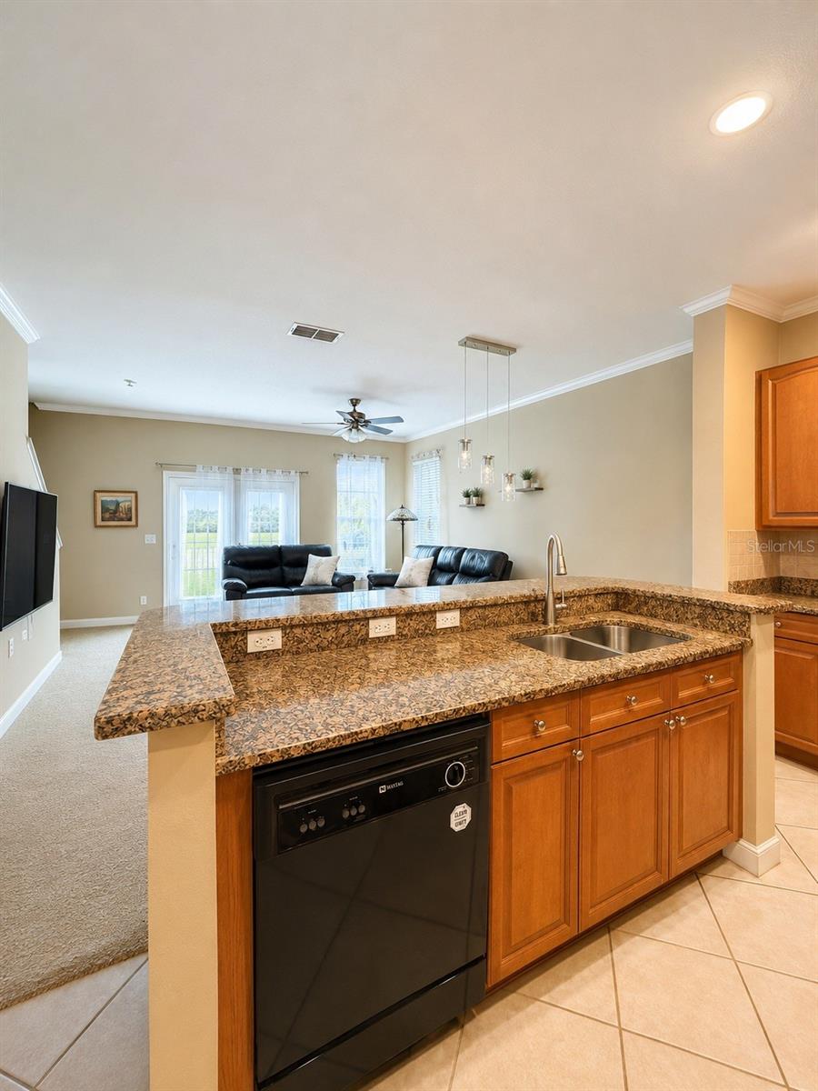 351 Vanguard Pt Property Photo 6