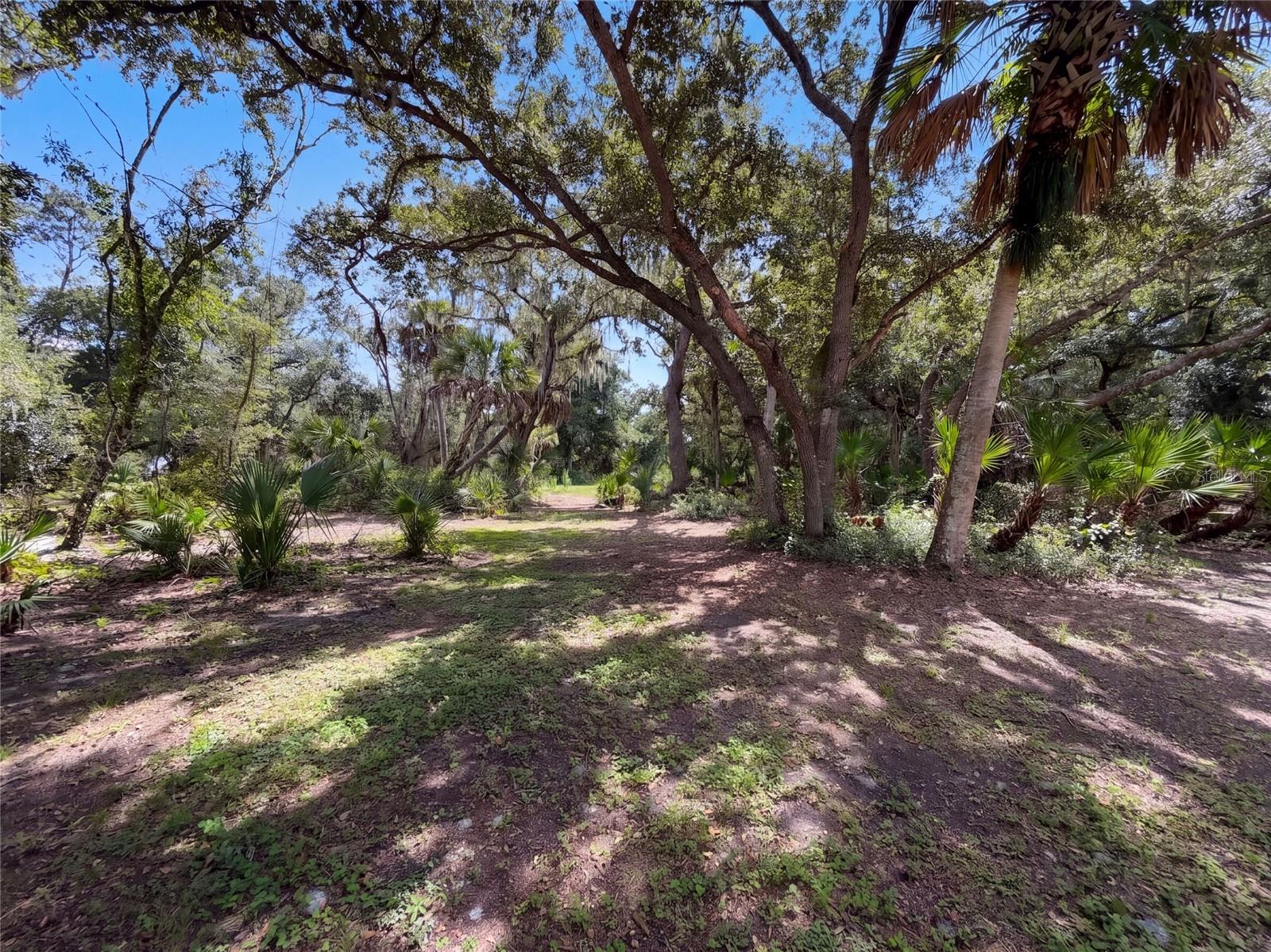 5438 Cold Spring Ln Property Photo 45