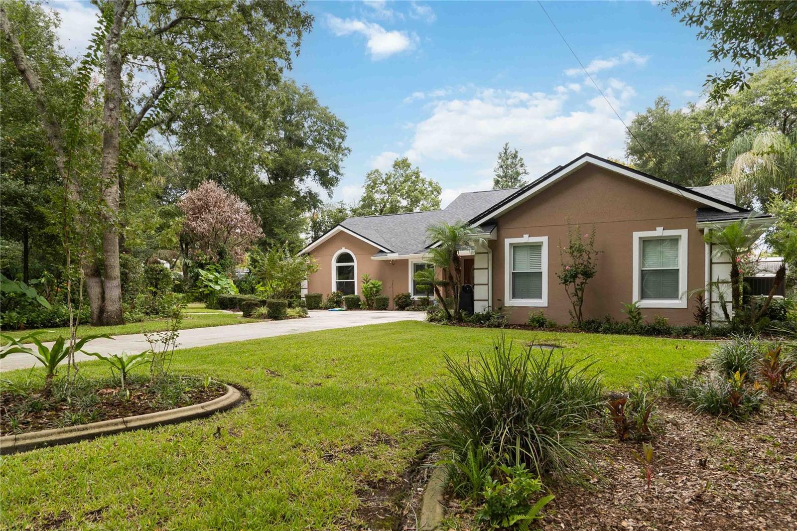 313 Ridgewood St Property Photo 4