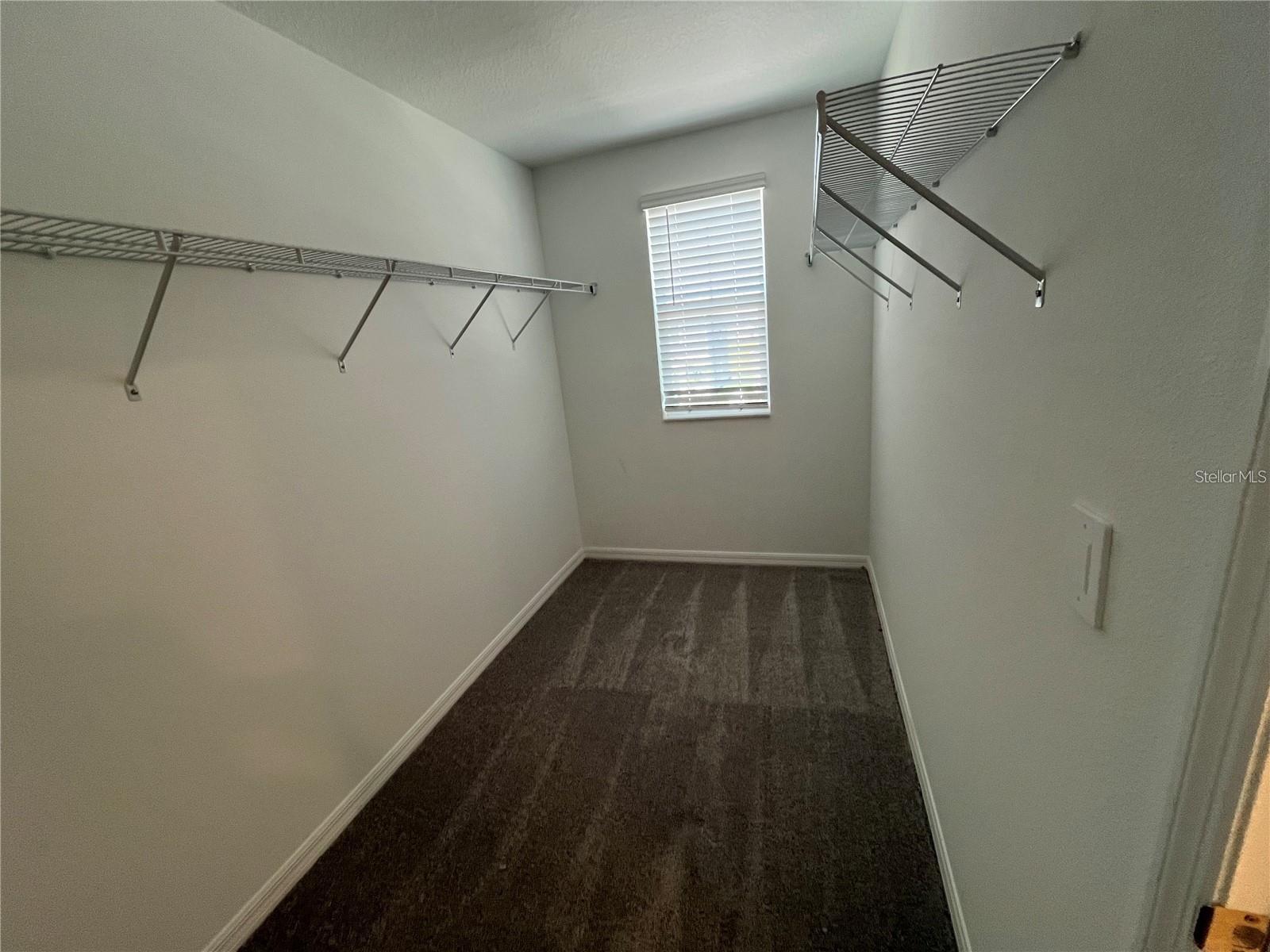 11186 Radiant Shore Loop Property Photo 18