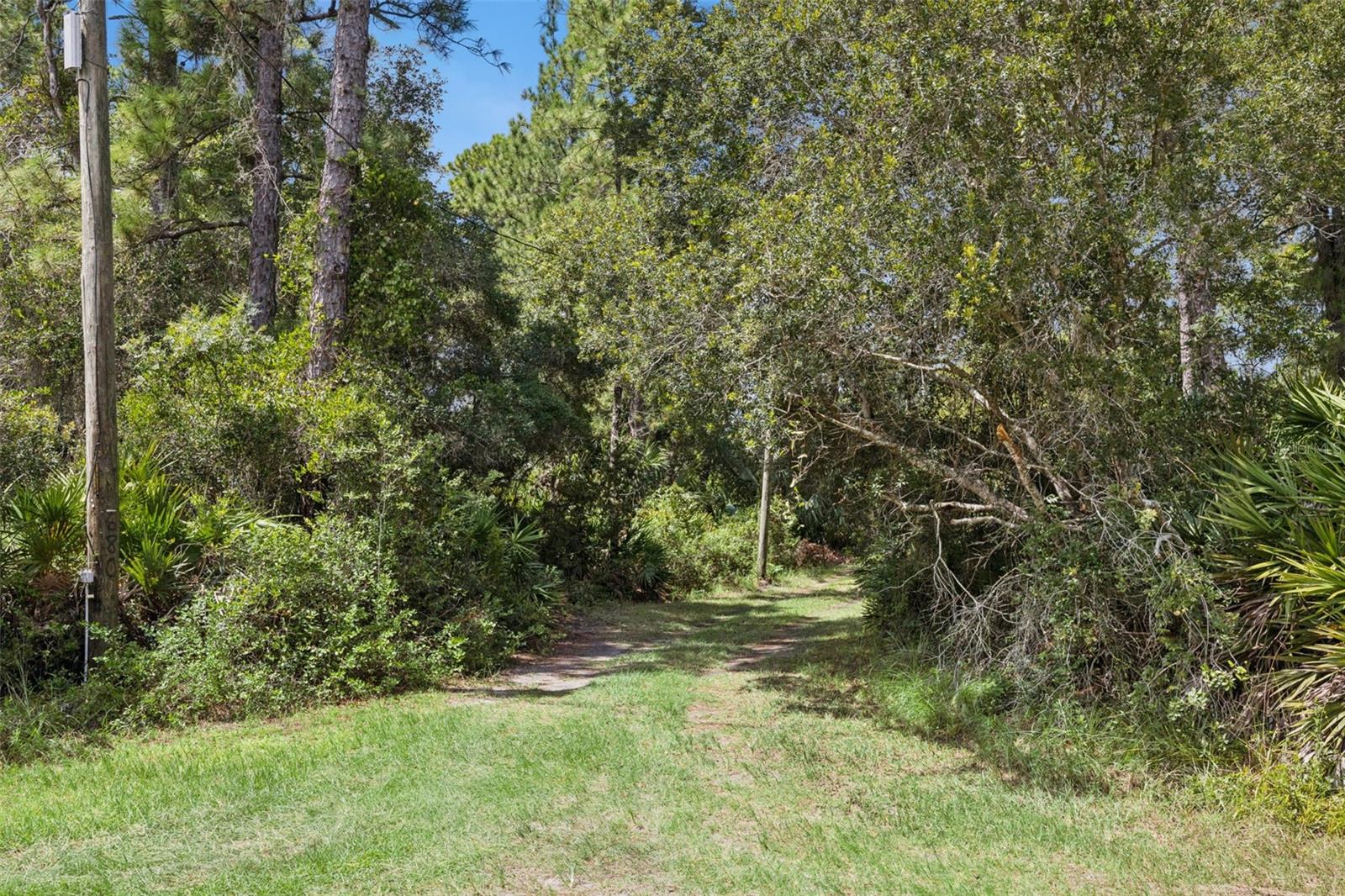 680 Wild Acres Rd Property Photo 37
