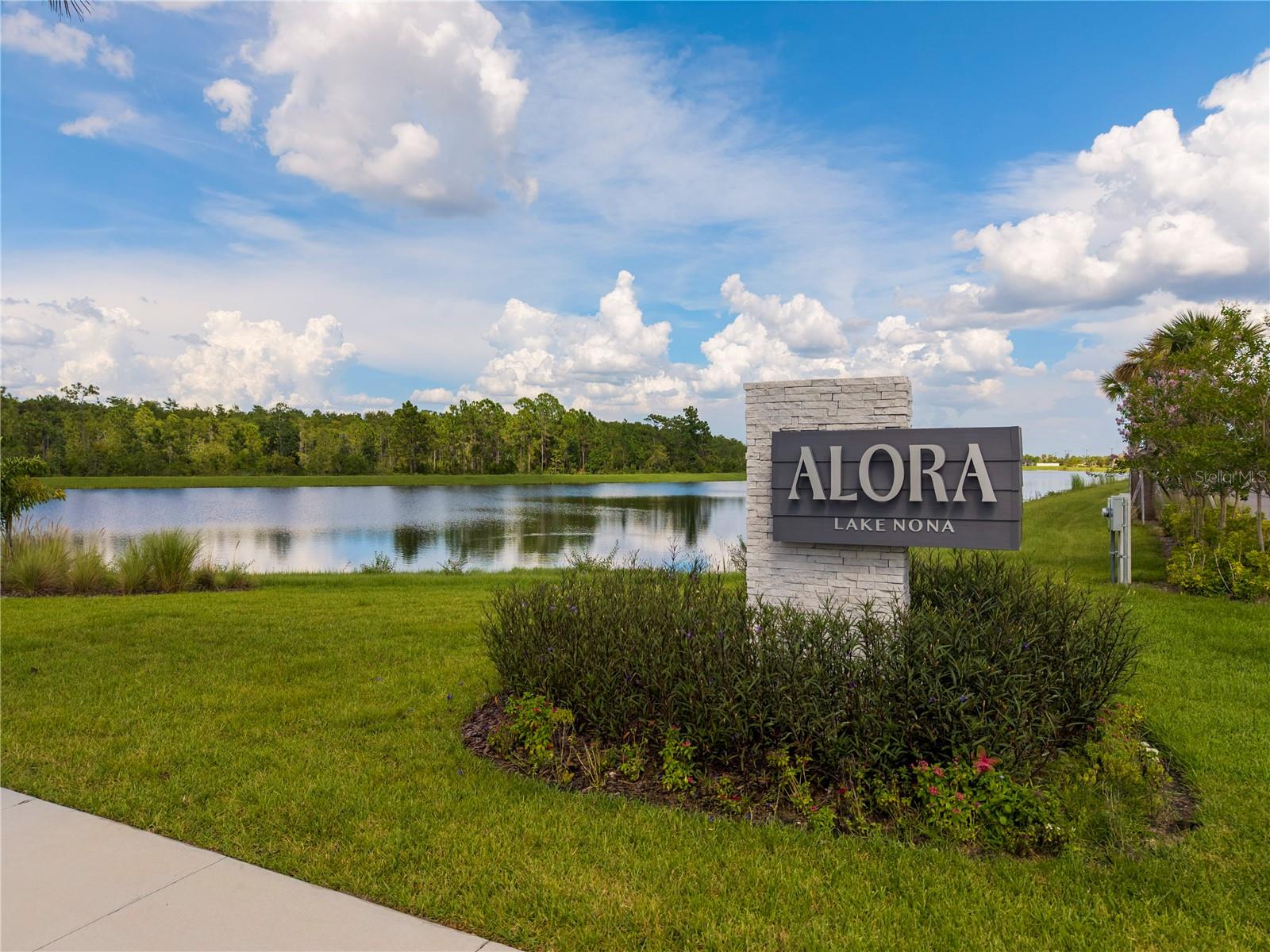 9313 Luminary Blvd Property Photo 40