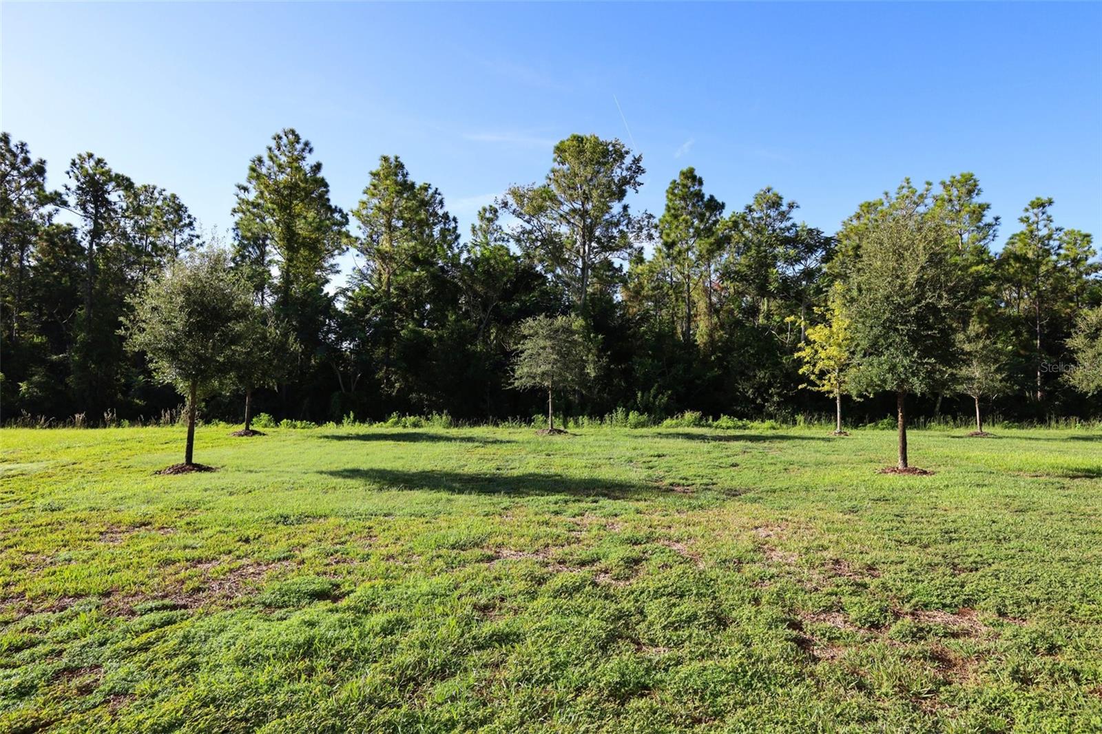 5288 Obsidian Gate Dr Property Photo 66