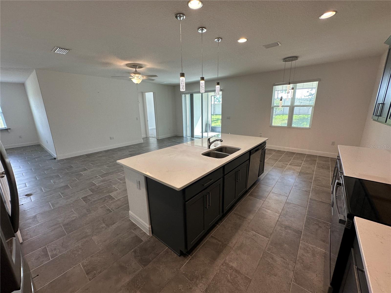 484 Shadow Gorge Way Property Photo 8