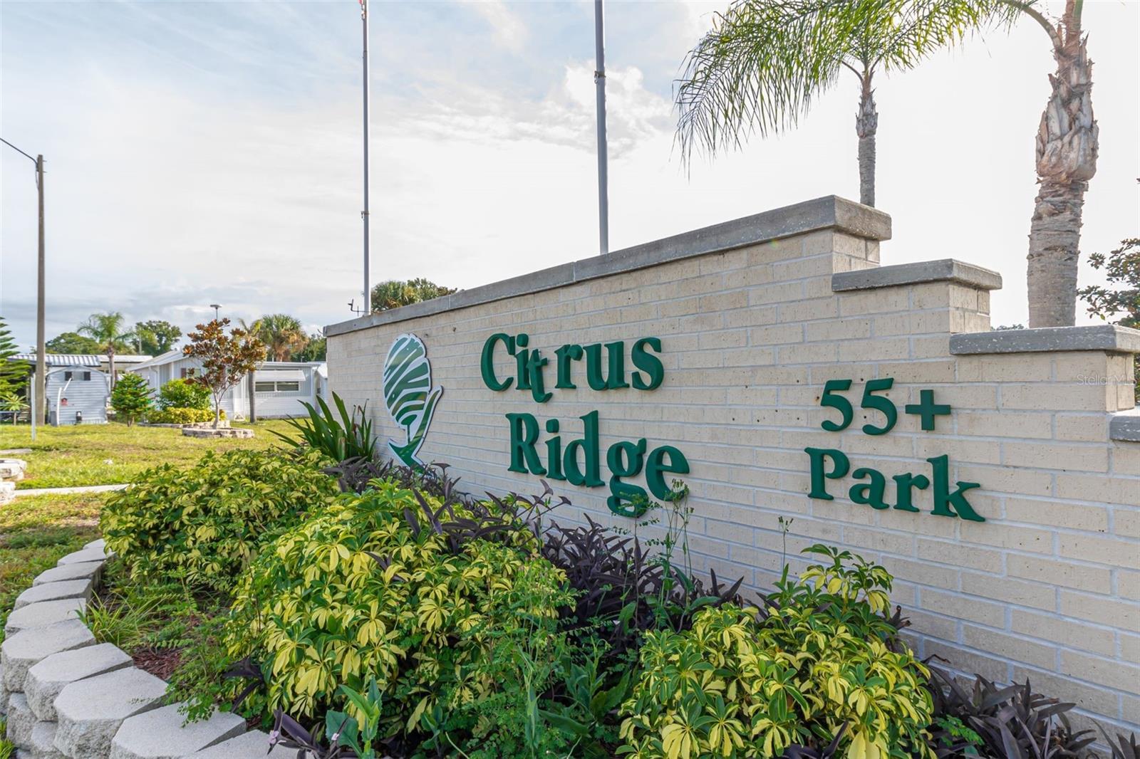339 Citrus Ridge Dr Property Photo 22