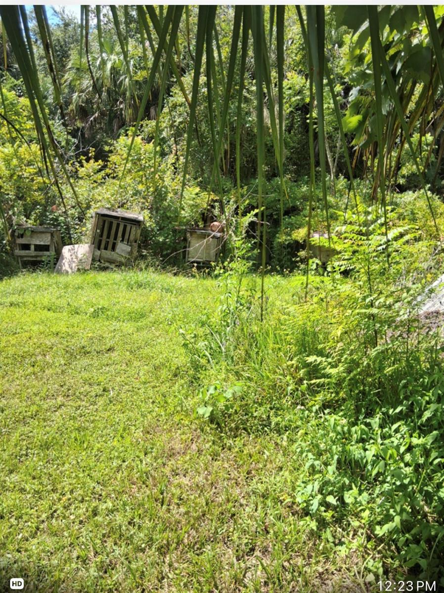 438 N State Road 415 Property Photo 17