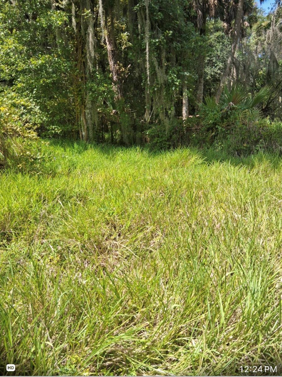 438 N State Road 415 Property Photo 18