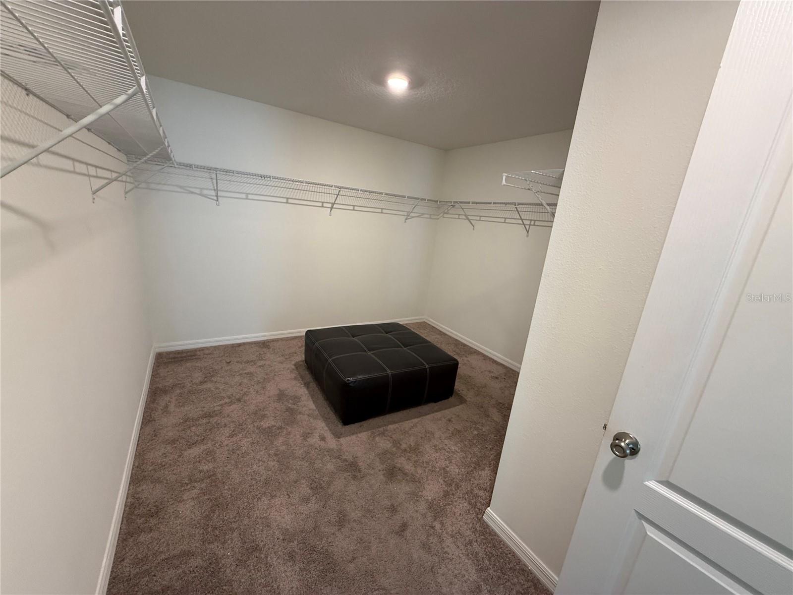 13085 Thatch Palm Way Property Photo 6