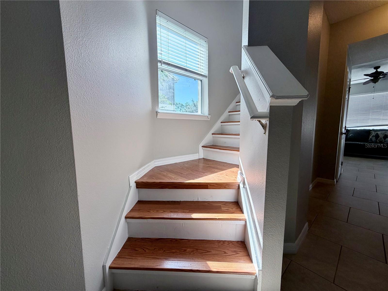 O6437707 Property Photo 17