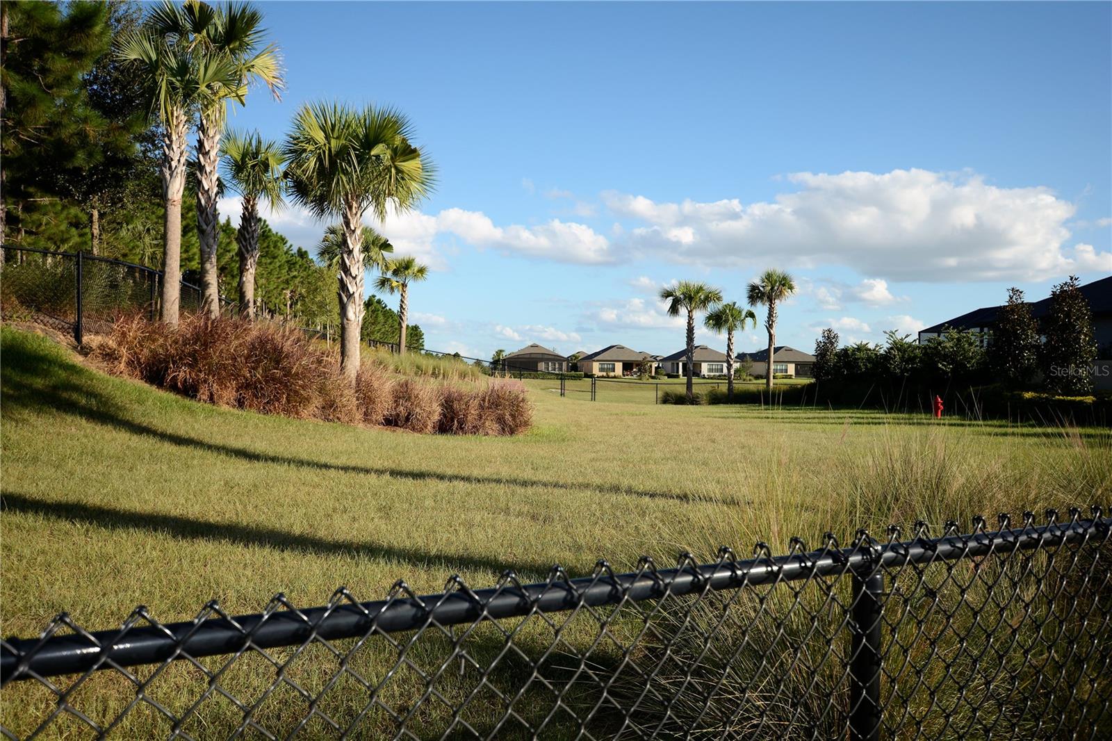 1279 Zeek Ridge St Property Photo 75