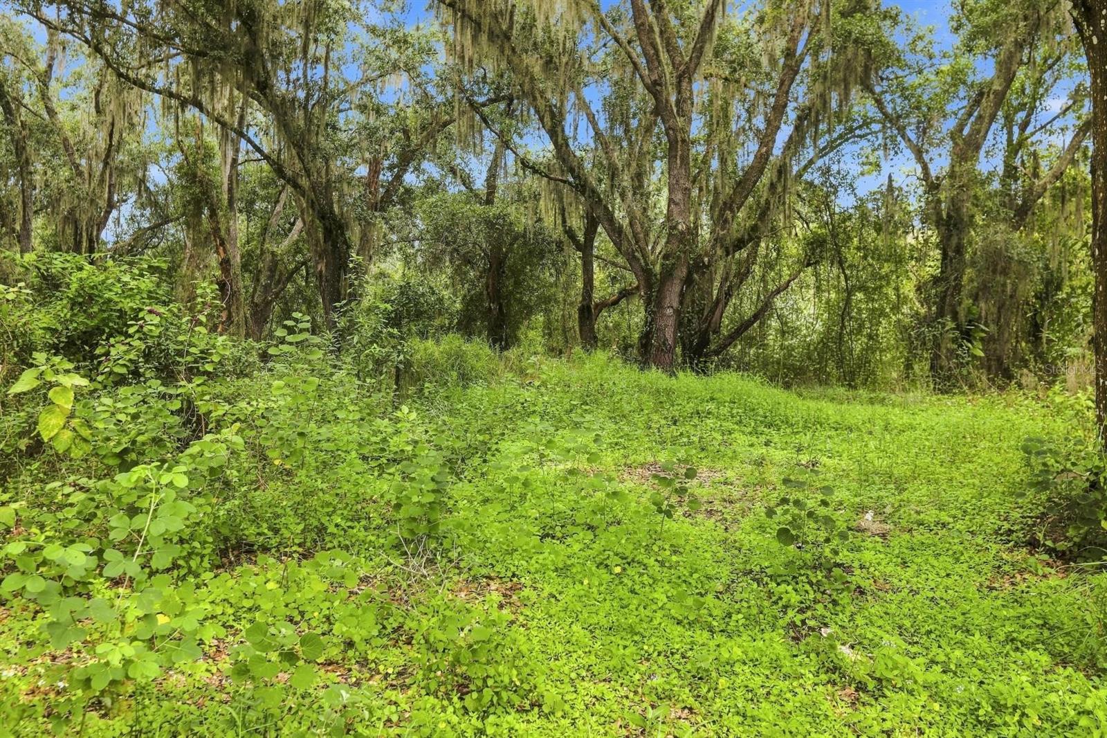 3030 Se Highway 31 Property Photo 53