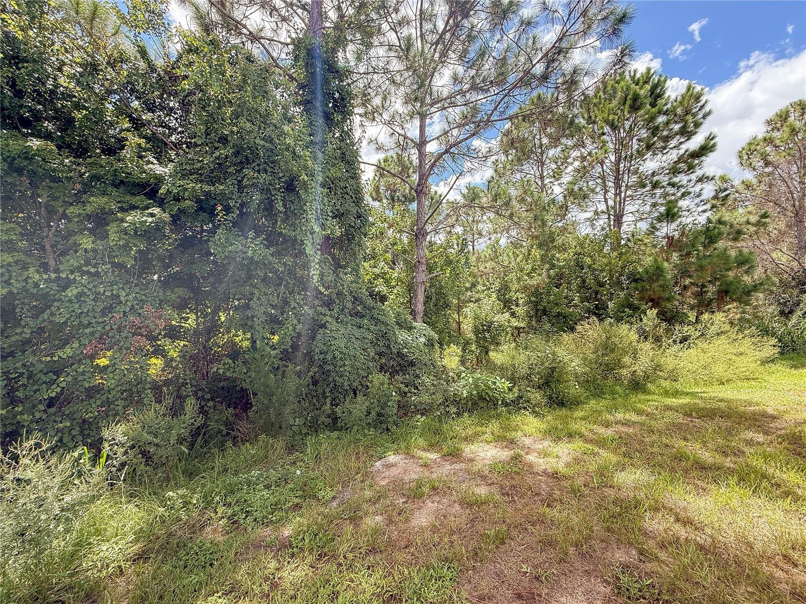 156 Glass Onion Dr Property Photo 26