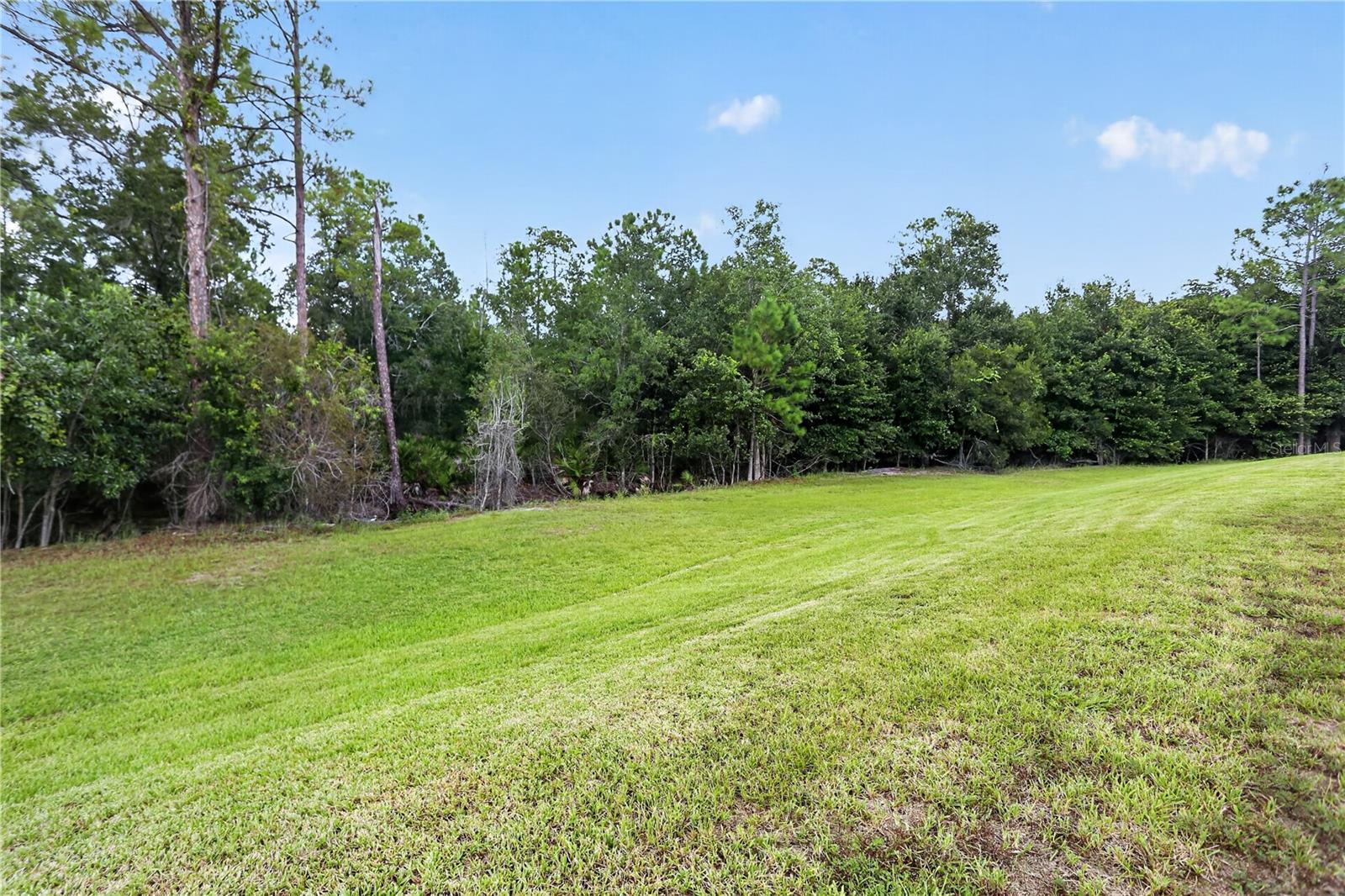 8831 Geneve Ct Property Photo 21