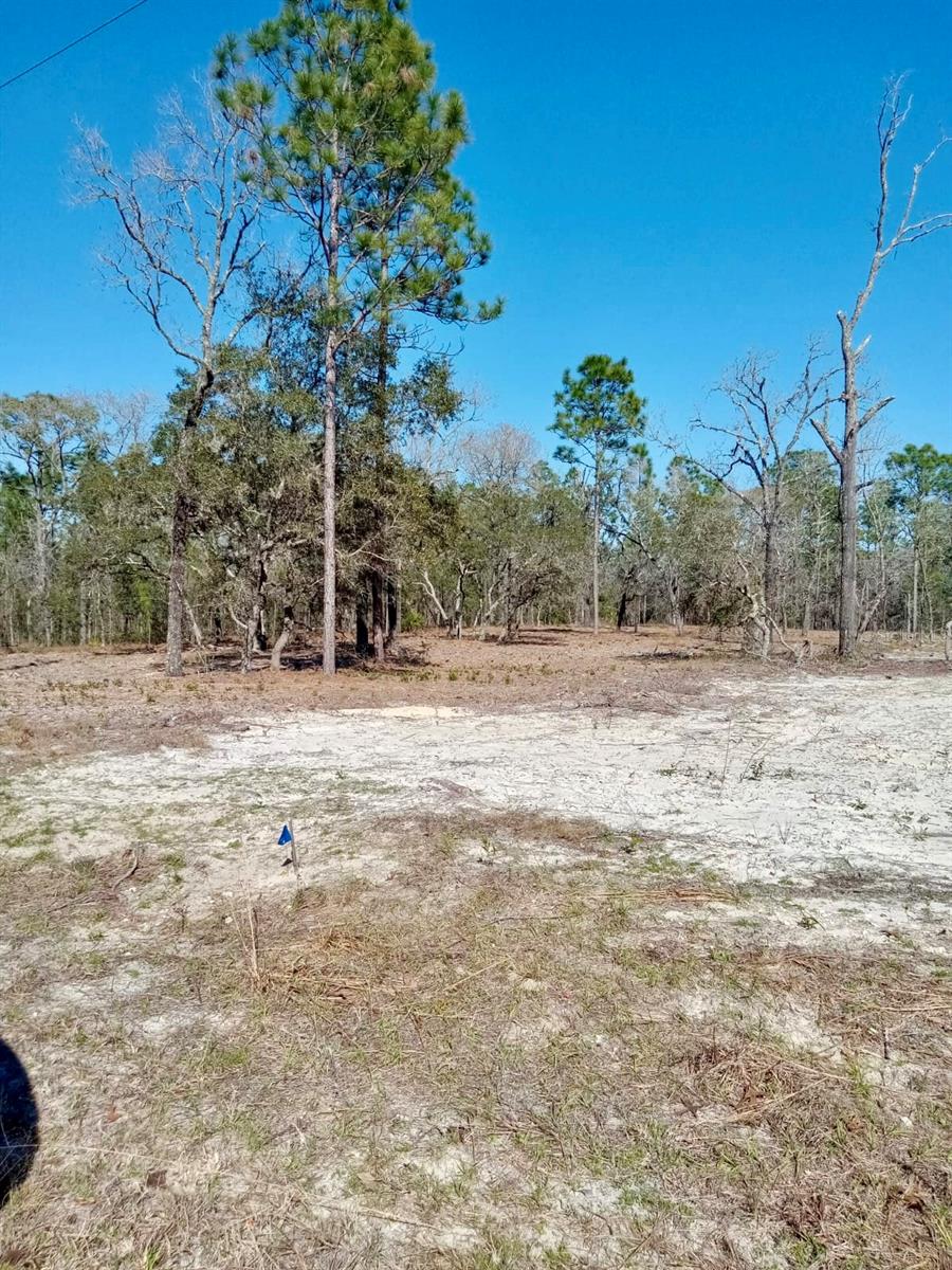 0 Se 125th Ct Property Photo 1