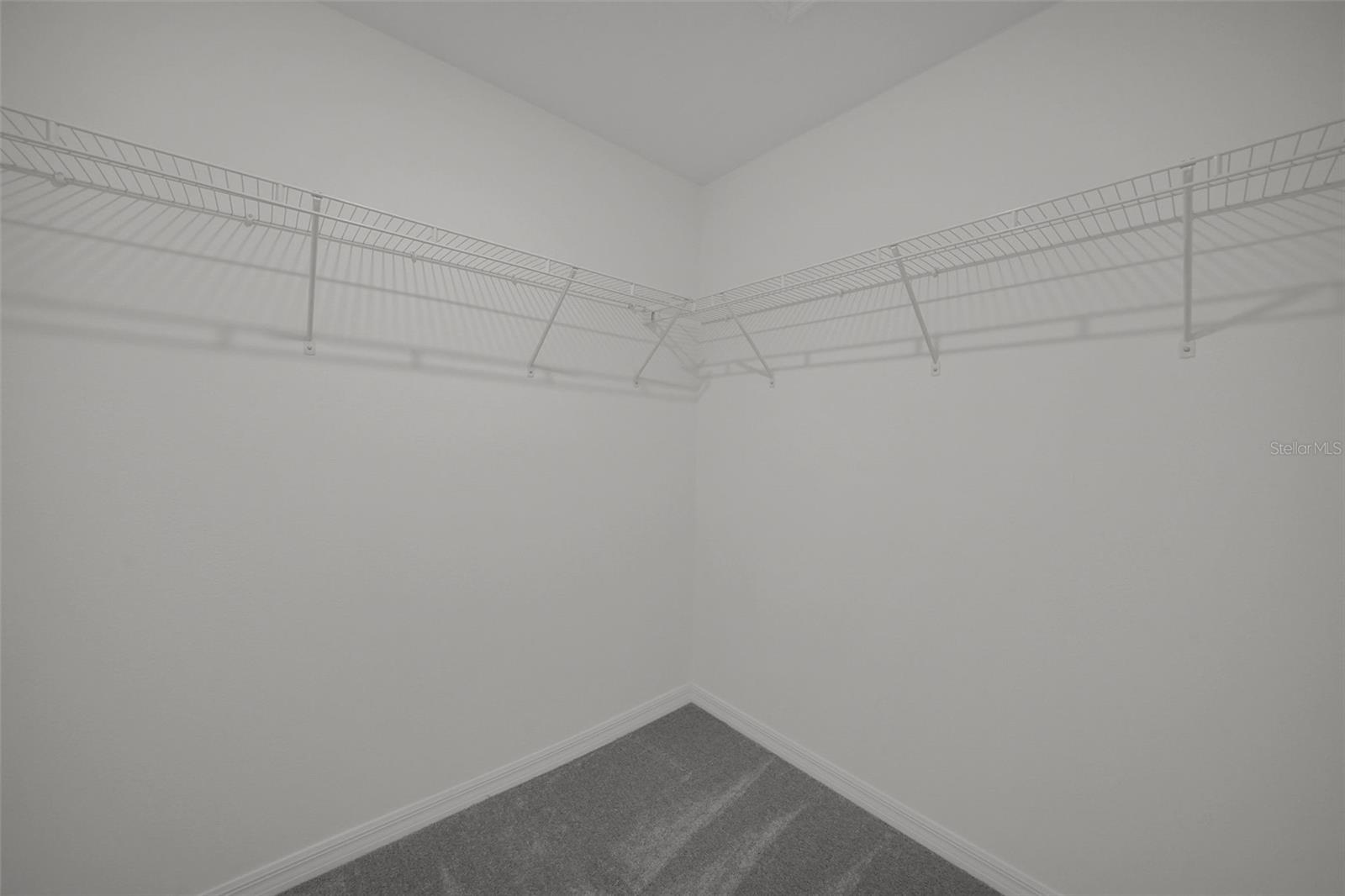 32201 Powderpuff Mimosa Dr Property Photo 25