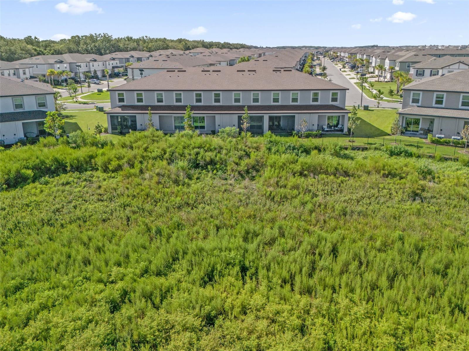 32201 Powderpuff Mimosa Dr Property Photo 40
