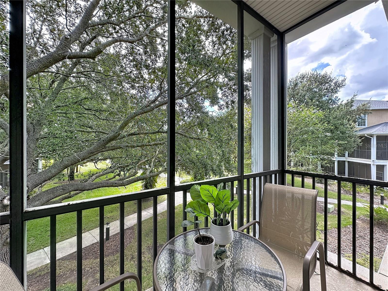 111 Rum Run Property Photo 4
