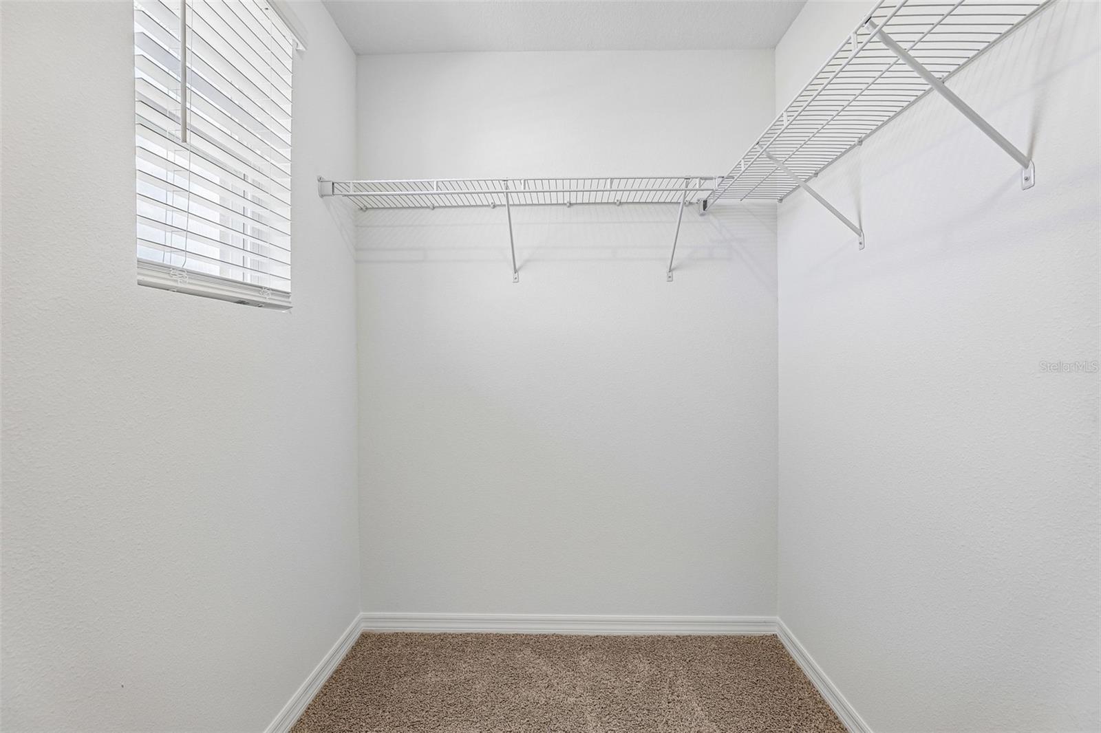 2486 Aveeno Ave Property Photo 33