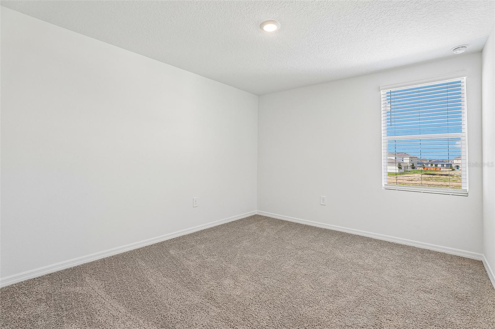 2486 Aveeno Ave Property Photo 34
