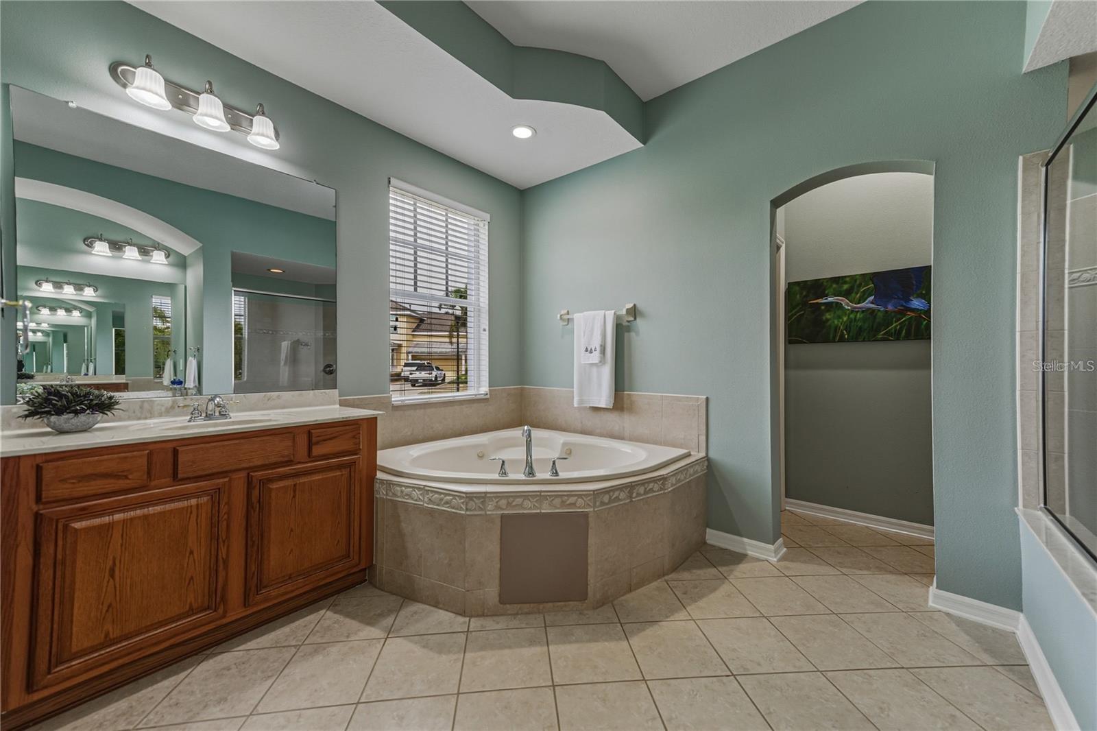 5252 Brighton Shore Dr Property Photo 33