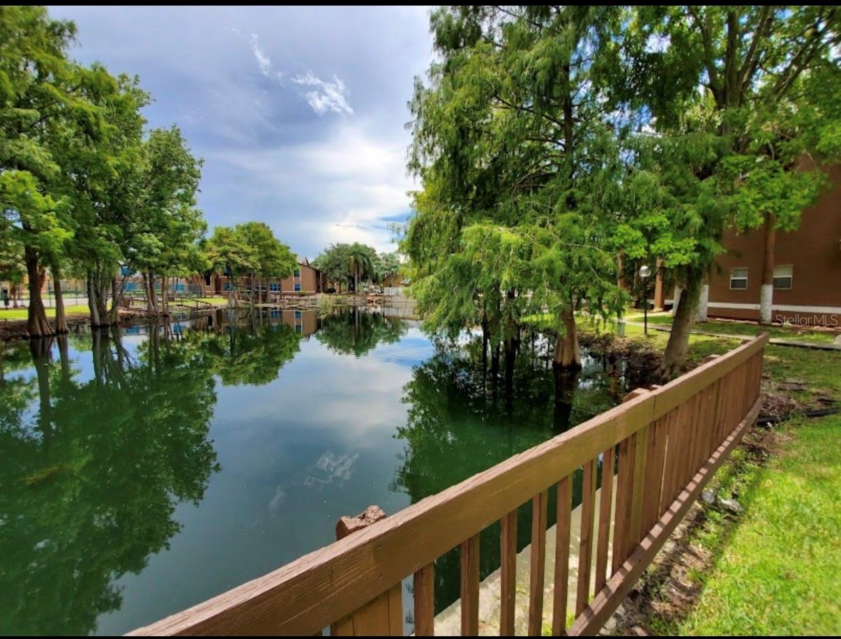 4658 Commander Dr #817 Property Photo 13