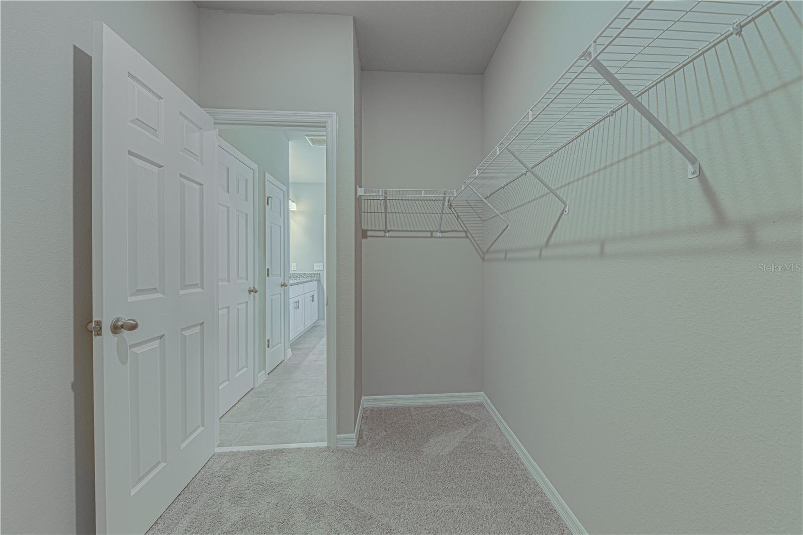 524 Venetian Palms Blvd Property Photo 30