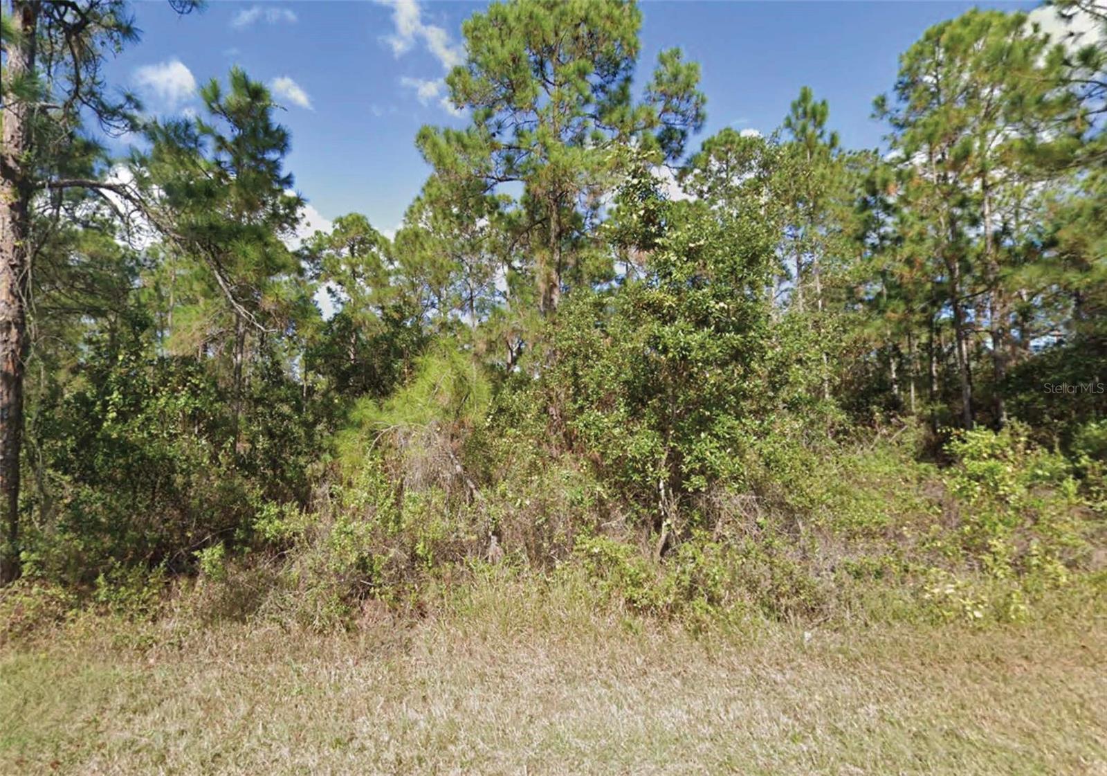 203 Gardenia Dr Property Photo 1