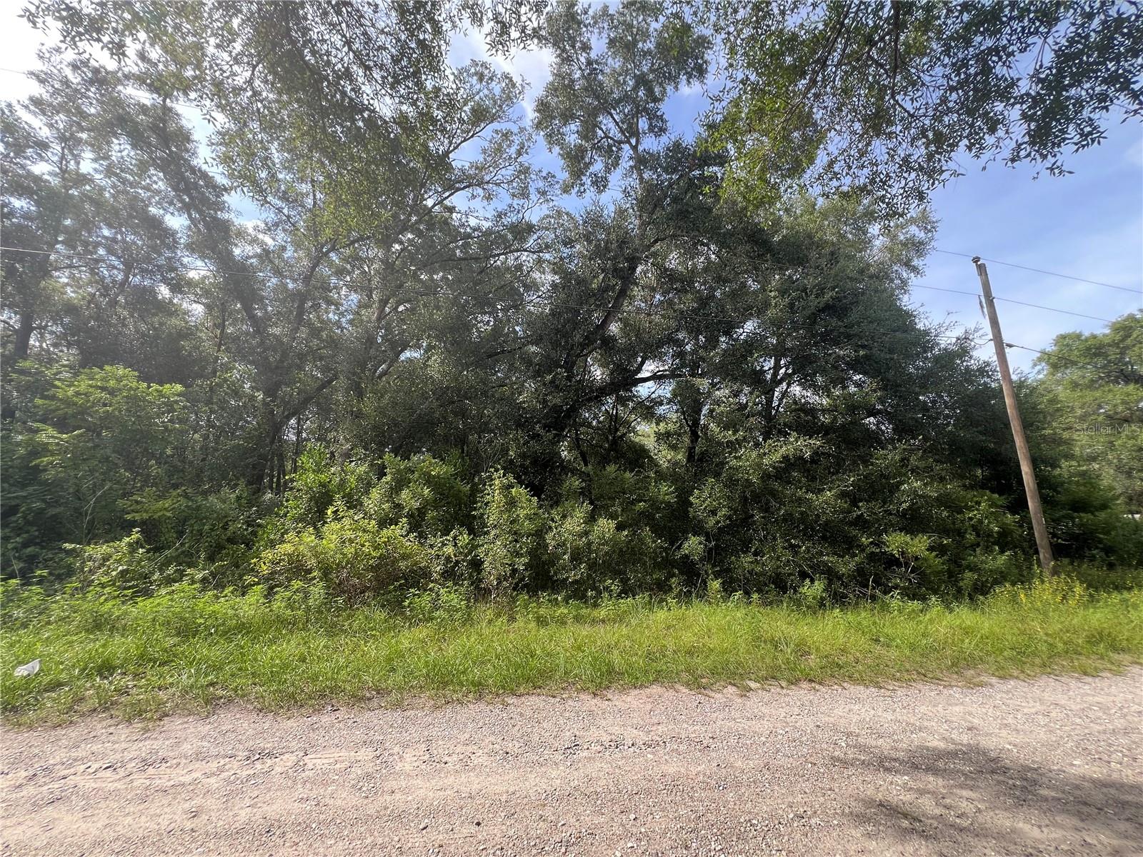 3677 E Yandle Pl Property Photo 9