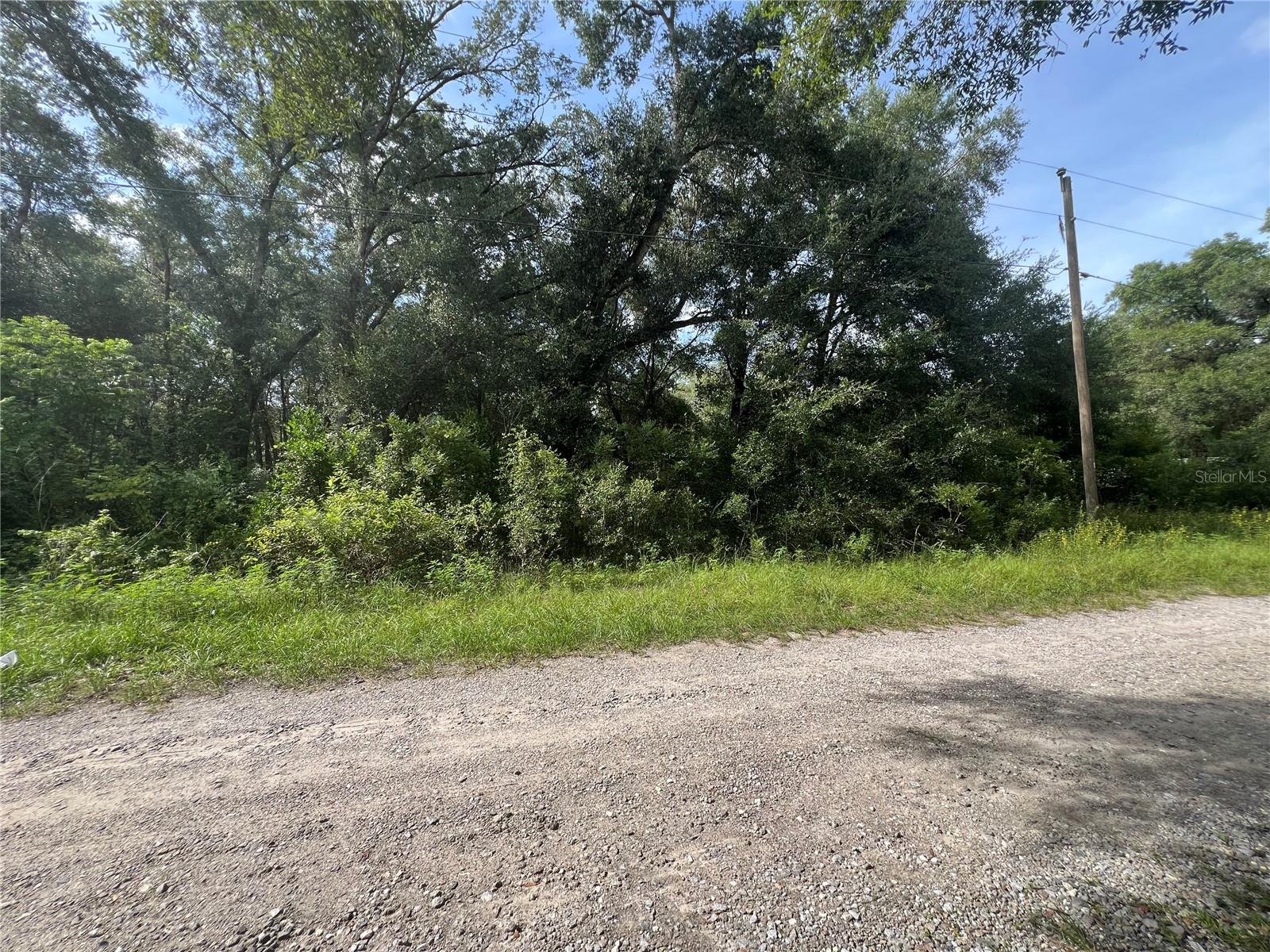 3677 E Yandle Pl Property Photo 10