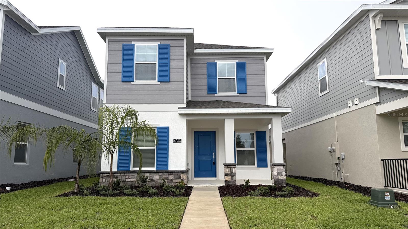 6063 WELLBEING WAY Property Photo 1