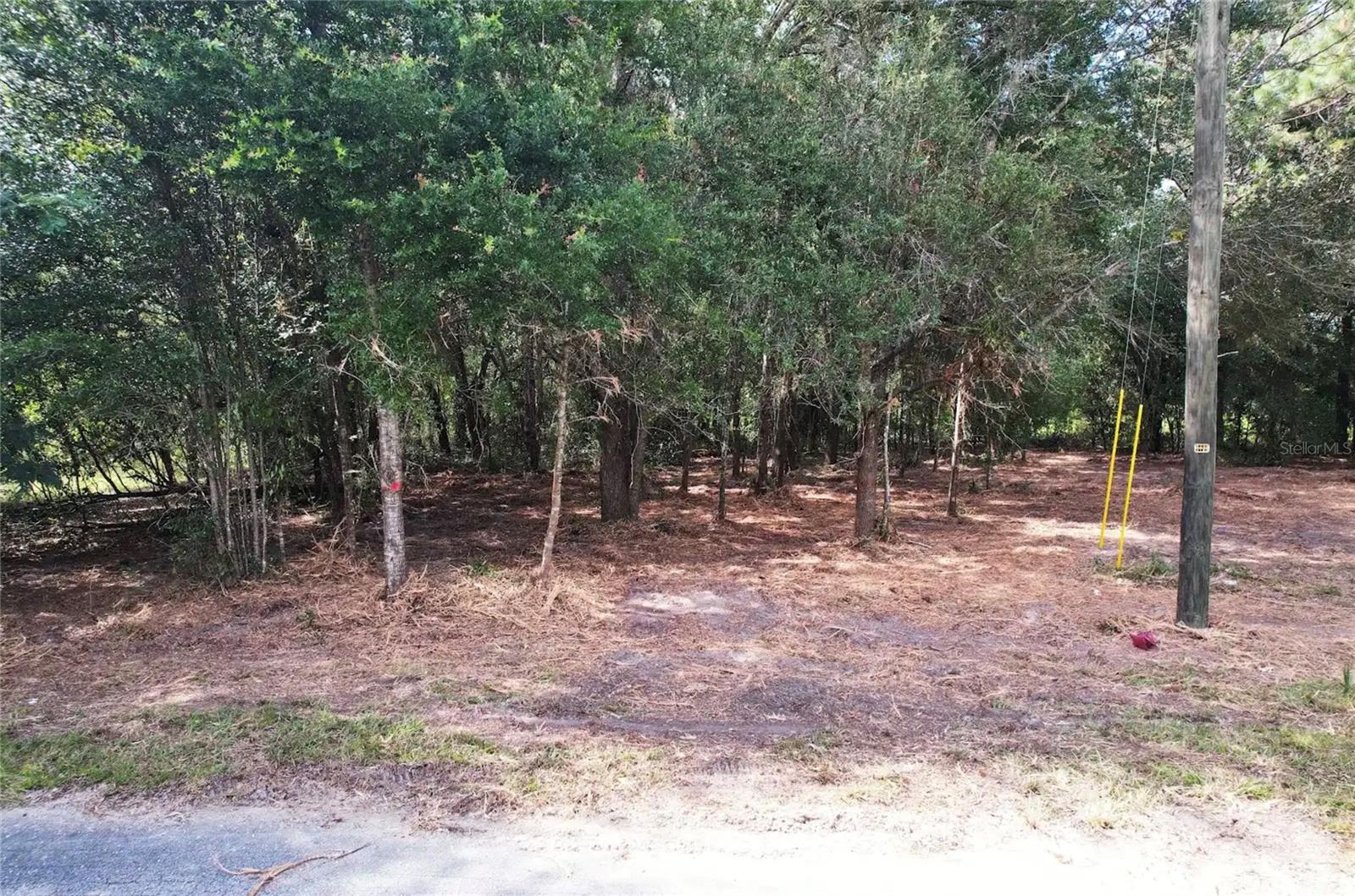 8746 N Catapane Loop Property Photo 2