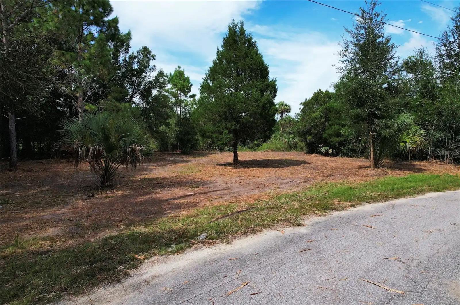 8750 N Catapane Loop Property Photo 3