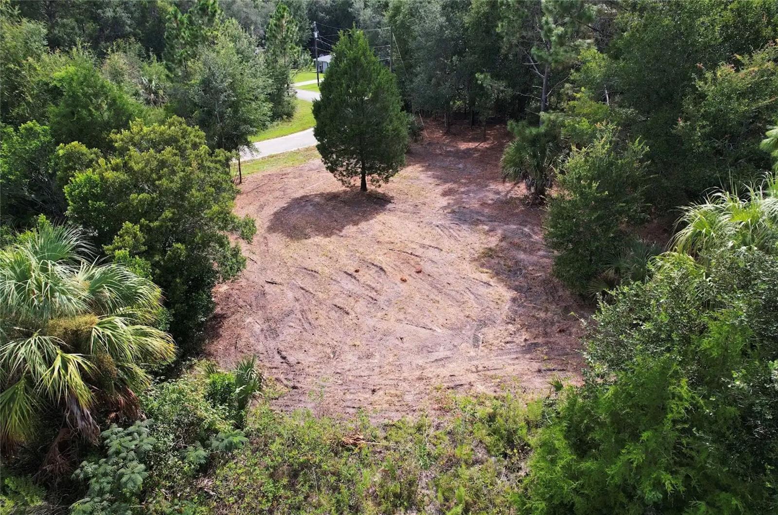 8750 N Catapane Loop Property Photo 4