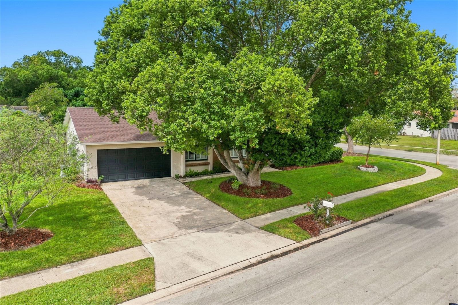 820 Van Ness Cir Property Photo 4