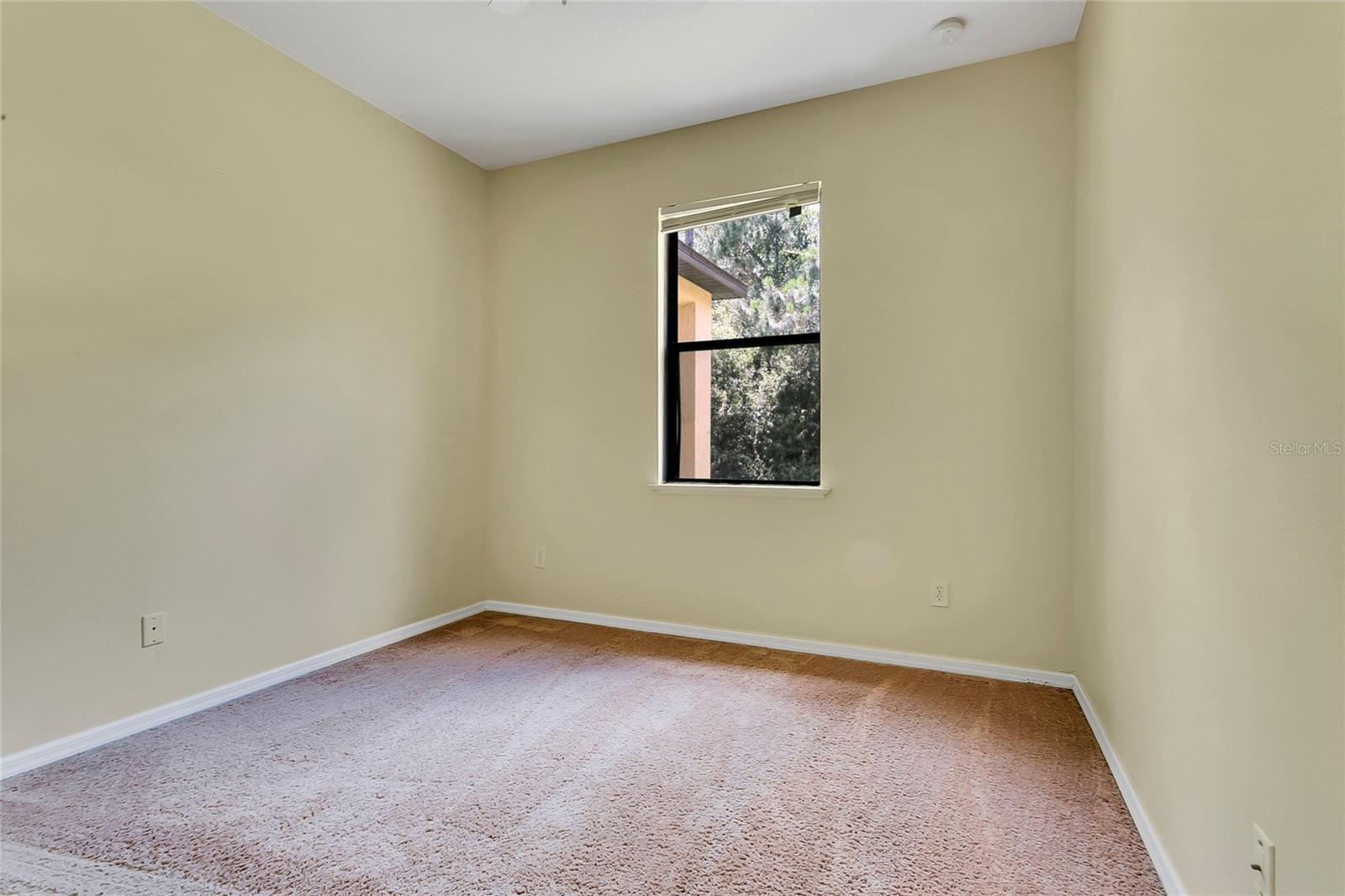 10102 Caroline Park Dr Property Photo 15