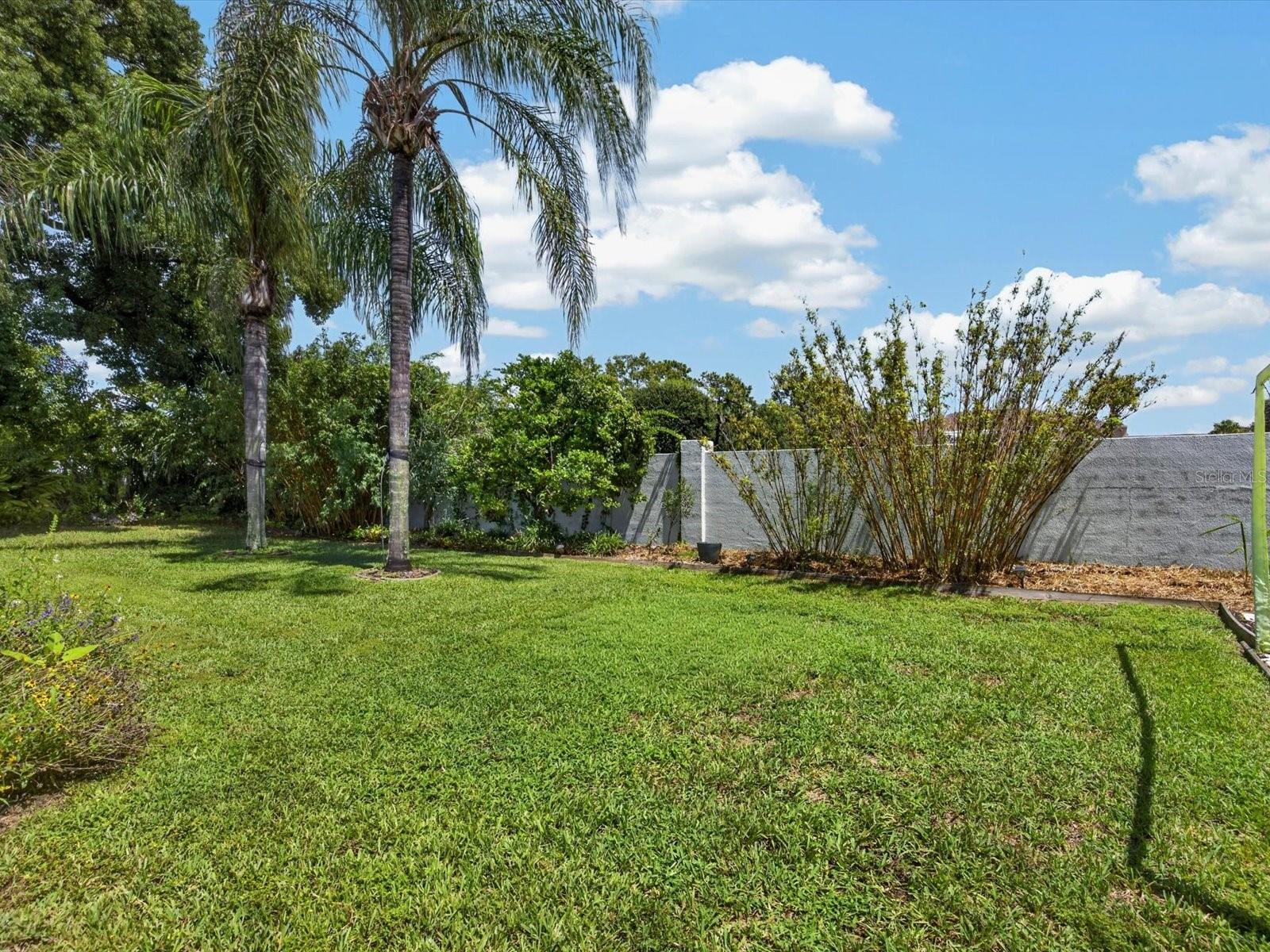 1198 Muscovy Dr Property Photo 39