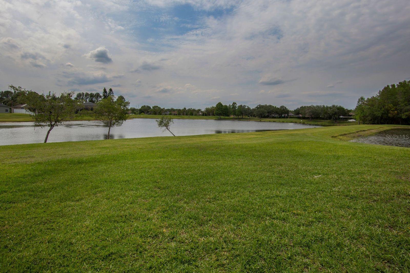 664 Cedar Forest Cir Property Photo 40