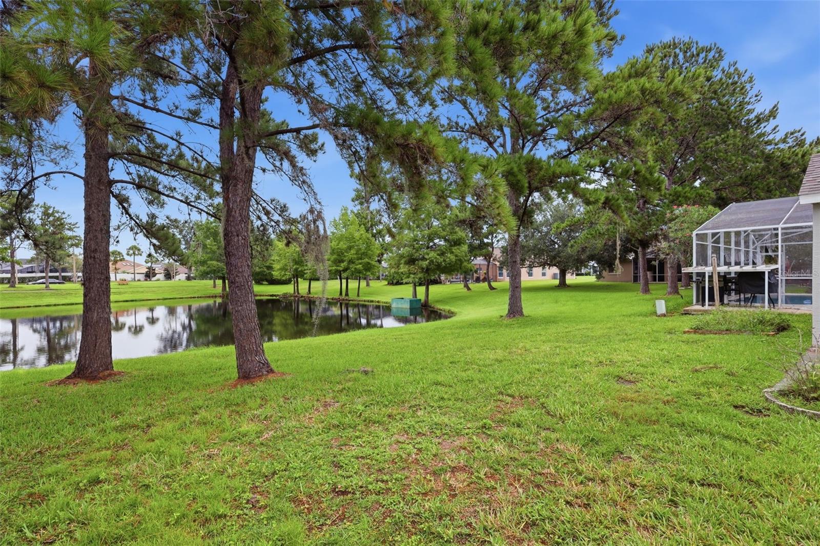 13637 Emeraldview Dr Property Photo 9