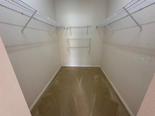 15816 Pine Lily Ct Property Photo 16