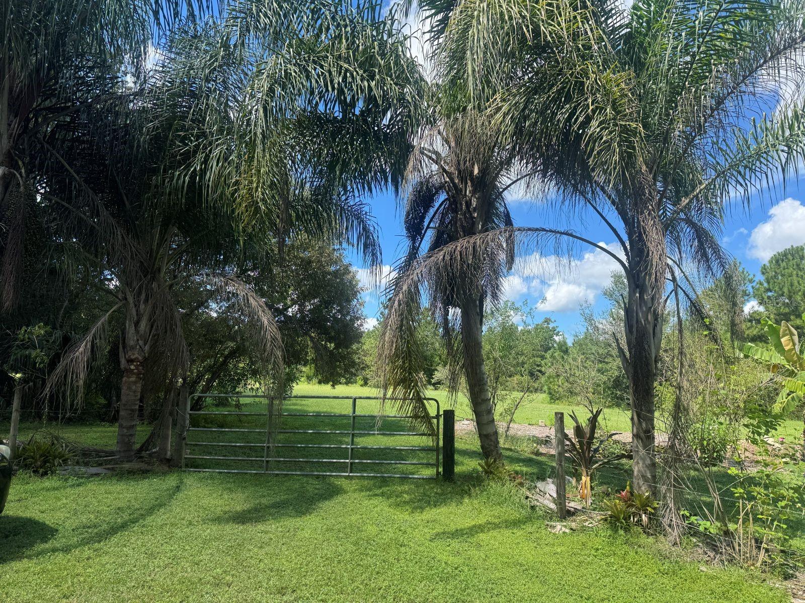 Mecca Hammock Trl Property Photo