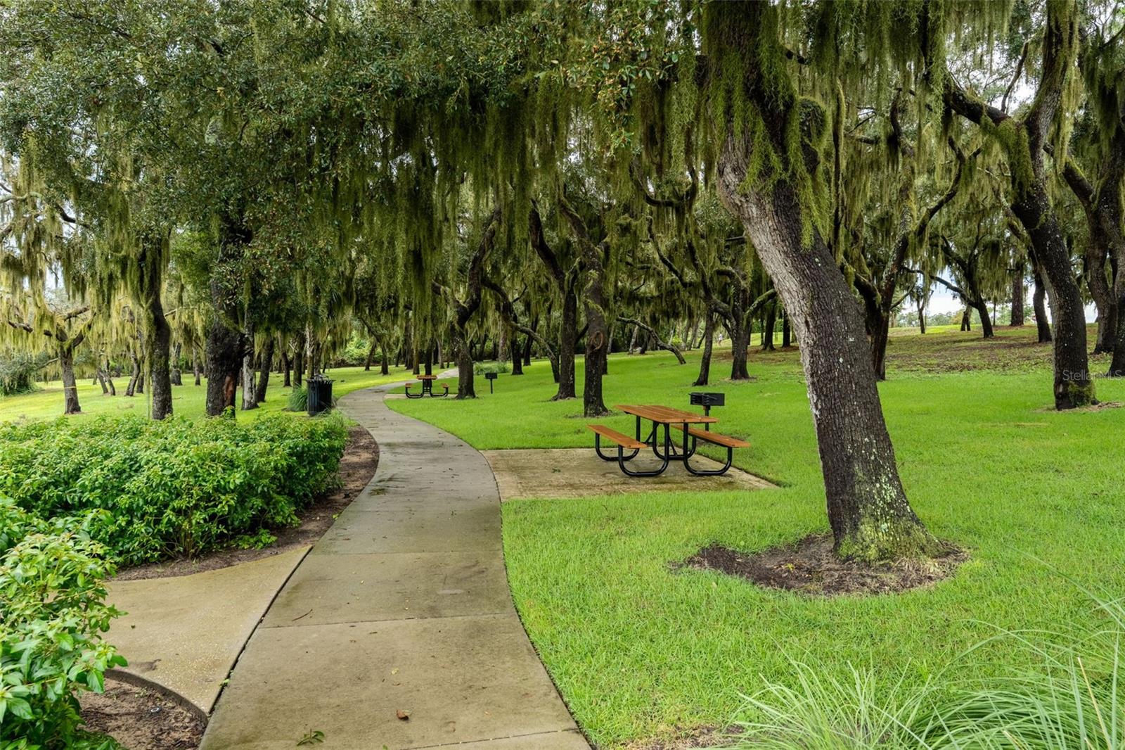 16924 Tradewind Pt Property Photo 41